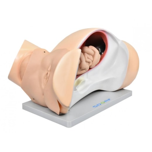 Imagem da galeria de produtos