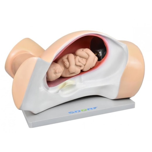 Imagem da galeria de produtos