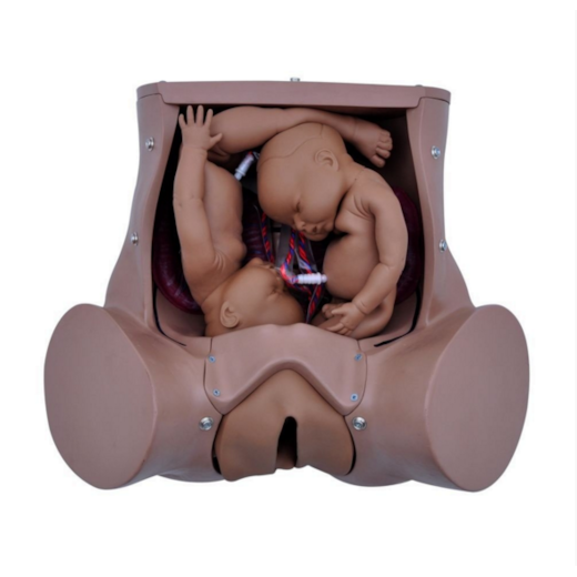 Product main image - 90fed484-ab32-4f22-b9b2-2df0e6e44559
