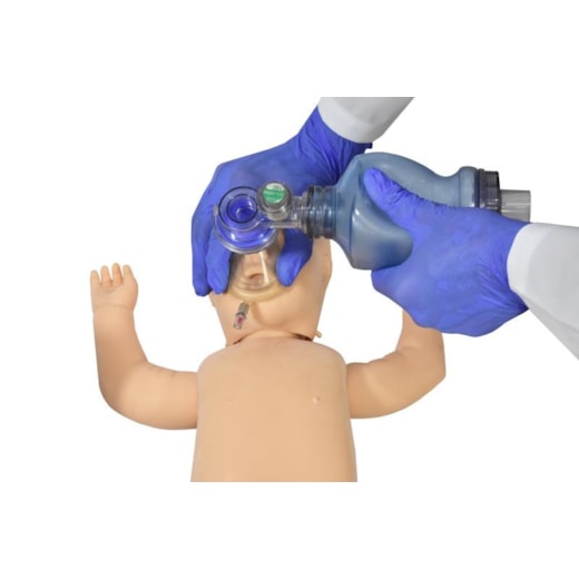 Imagem da galeria de produtos