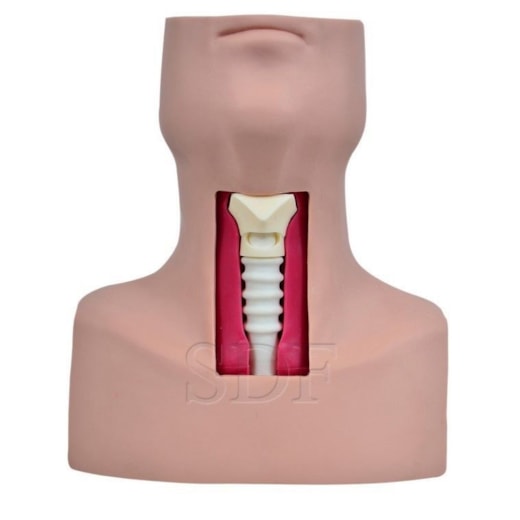Product main image - 3689dc5a-840c-401b-b2c4-cdc260972383