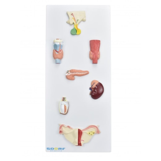 Imagem da galeria de produtos
