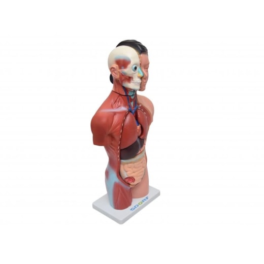 Imagem da galeria de produtos