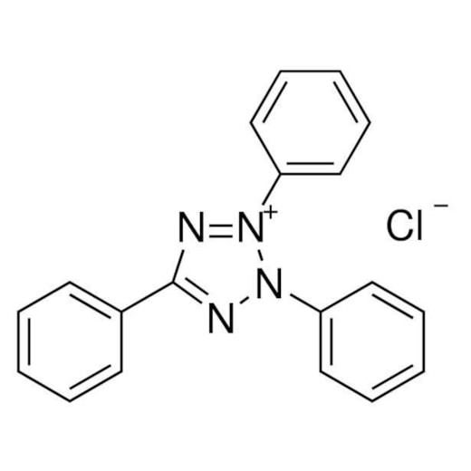 Product main image - 1c0be8b8-a691-4fb5-b1dc-9af80ee6e3b8