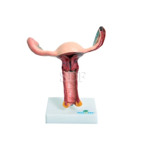 Product main image - 98c84e43-cf83-4b38-b58a-0407a2b1e149